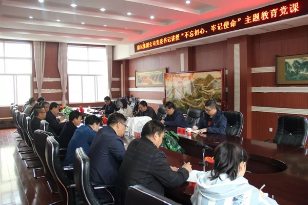 隴運(yùn)集團(tuán)公司召開“不忘初心、牢記使命”主題教育專題黨課